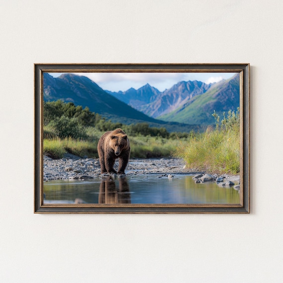 Brown Bear Wildlife Photography Print Alaska Mountain Landscape Art