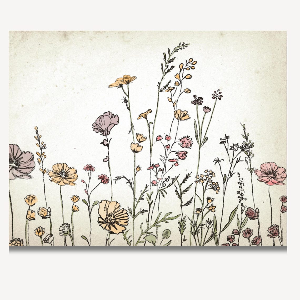 Wildflower Meadow in Pink and Yellow Vintage Botanical Art Print - Image 2