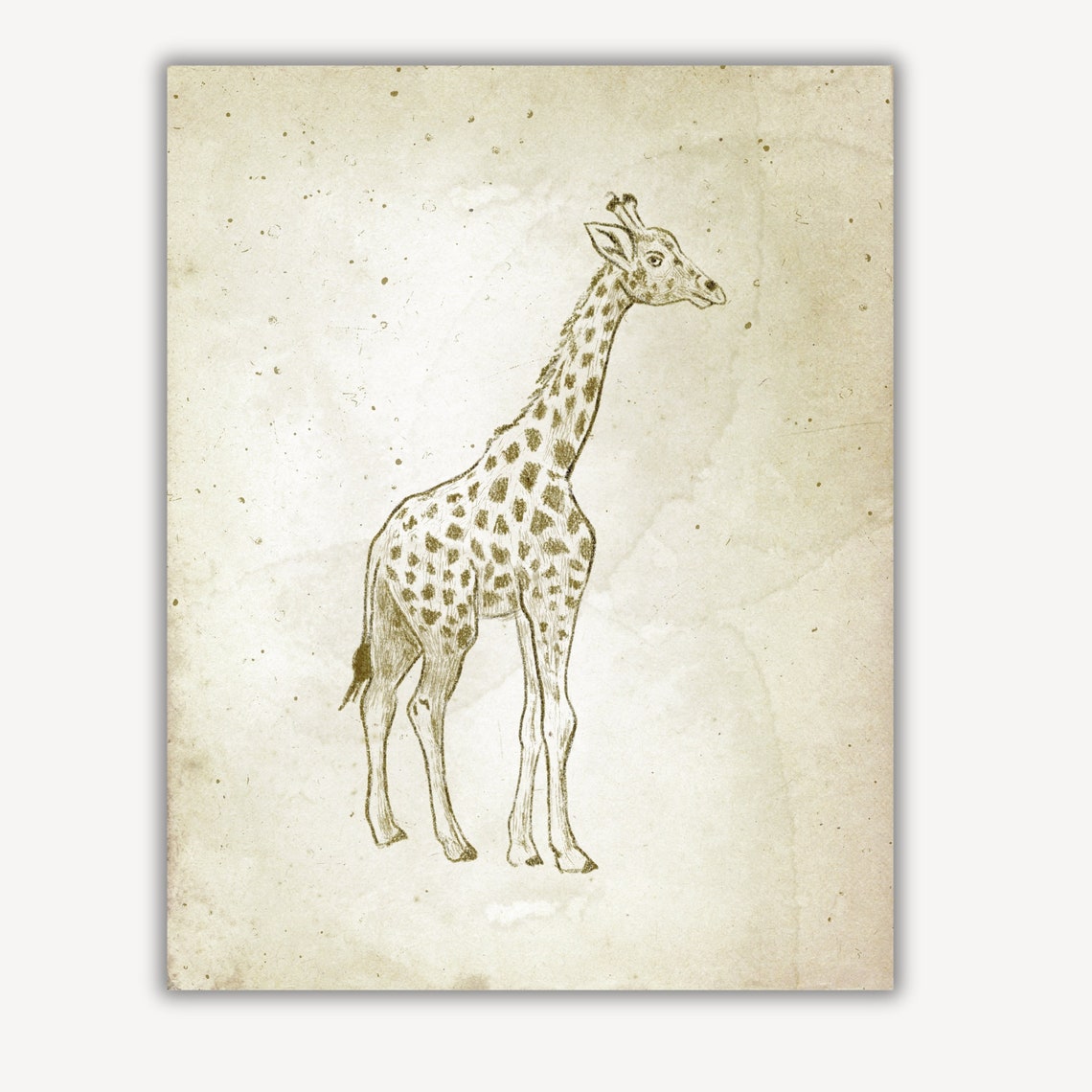 Vintage Giraffe Standing Sketch Antique Nursery Decor Poster - Image 2