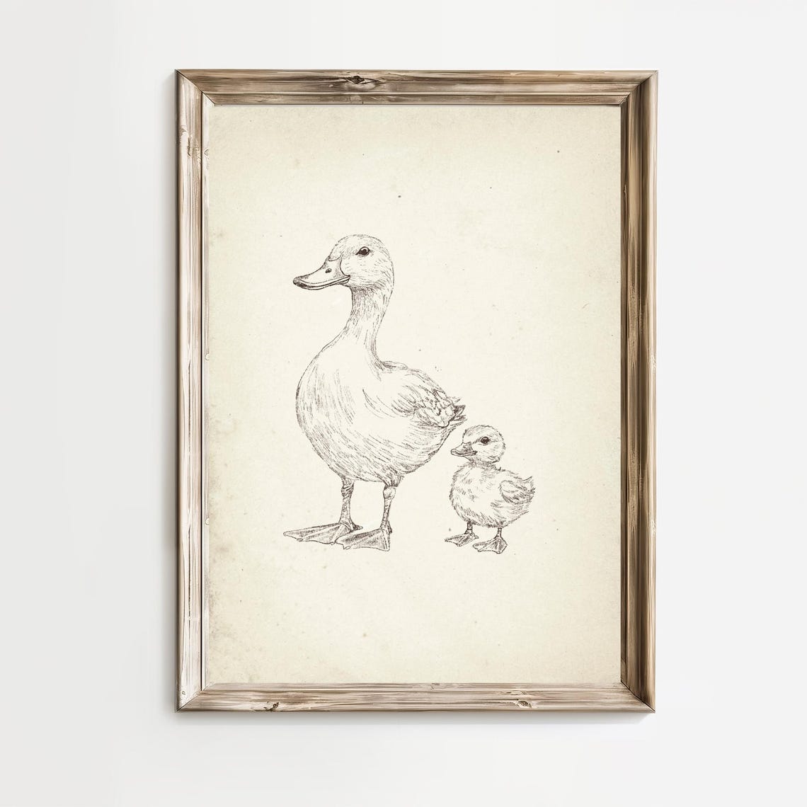 Mother Duck And Fluffy Duckling Pencil Sketch Nursery Poster