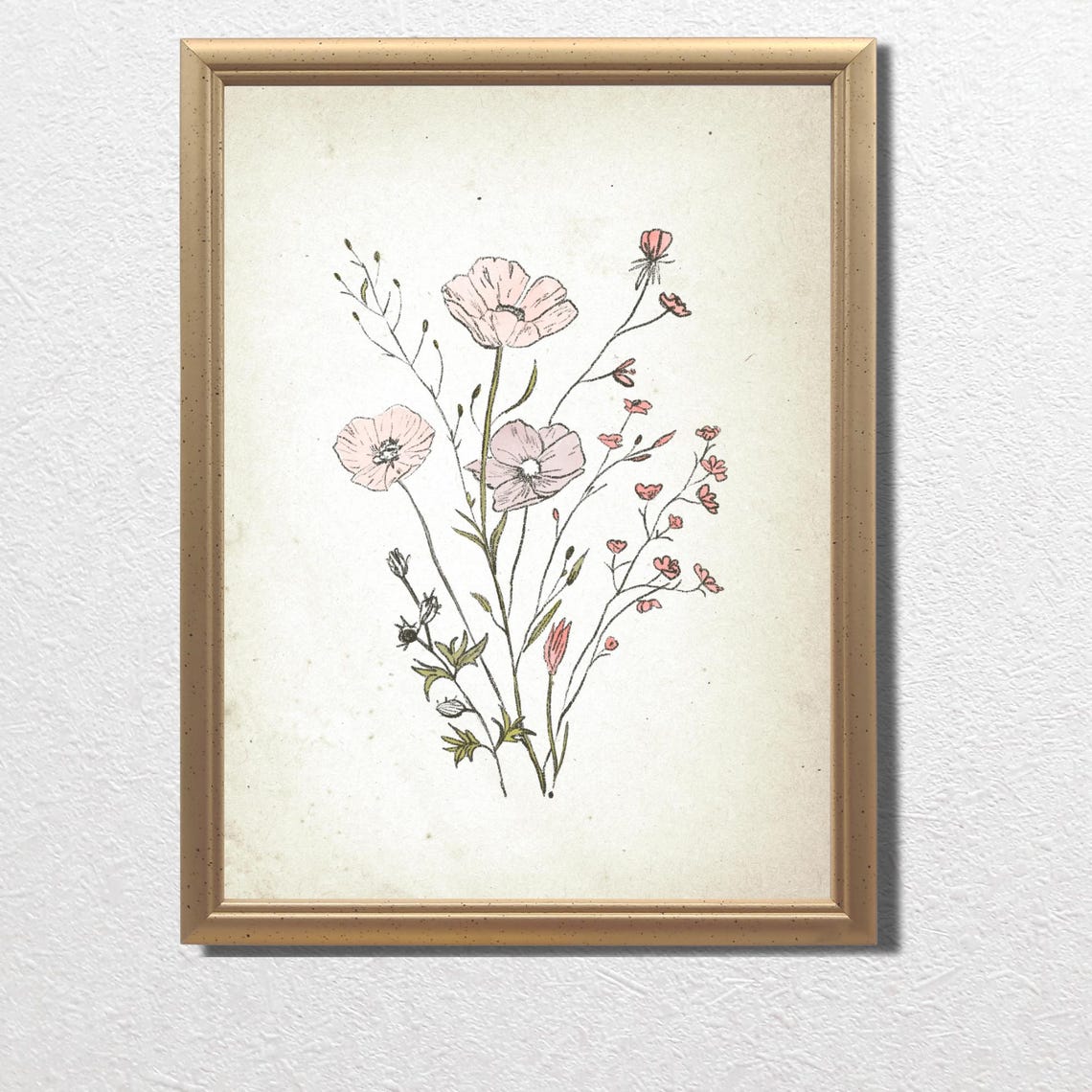 Pink Poppies with Tiny Buds in Vintage Botanical Sketch Art Print - Image 4