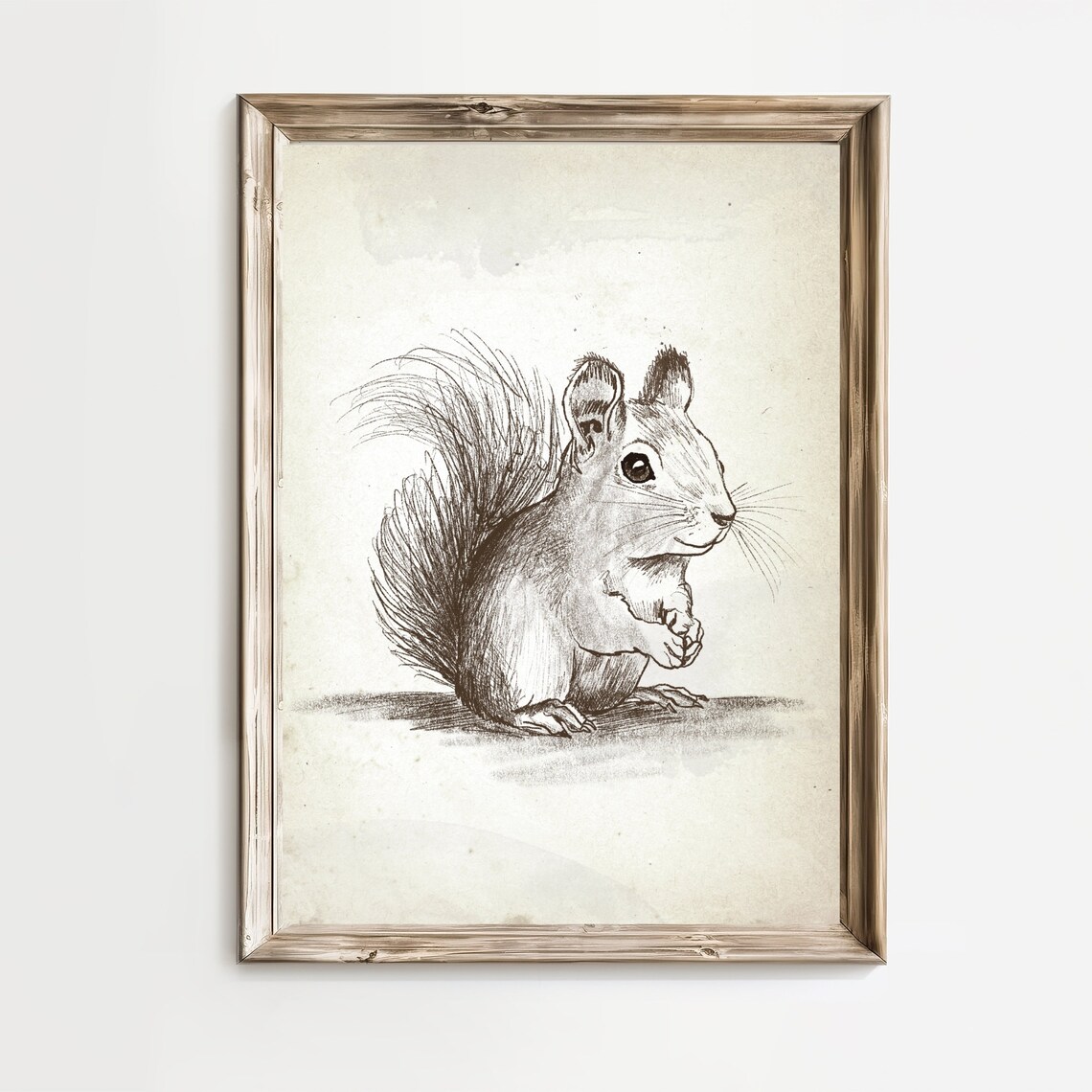 Vintage Squirrel Pencil Sketch Woodland Animal Nursery Wall Art