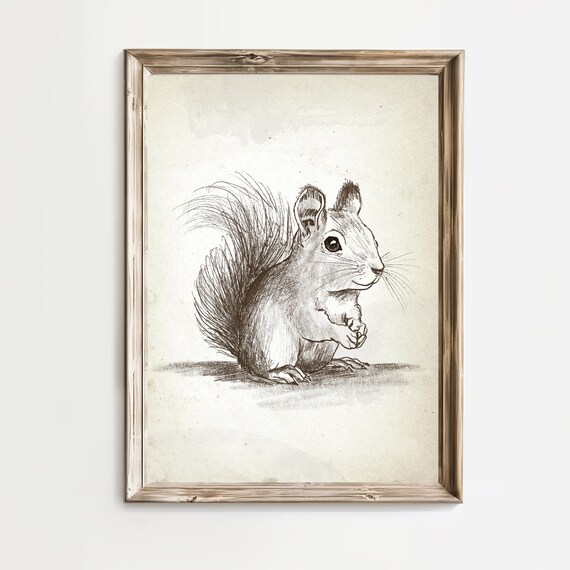Vintage Squirrel Pencil Sketch Woodland Animal Nursery Wall Art