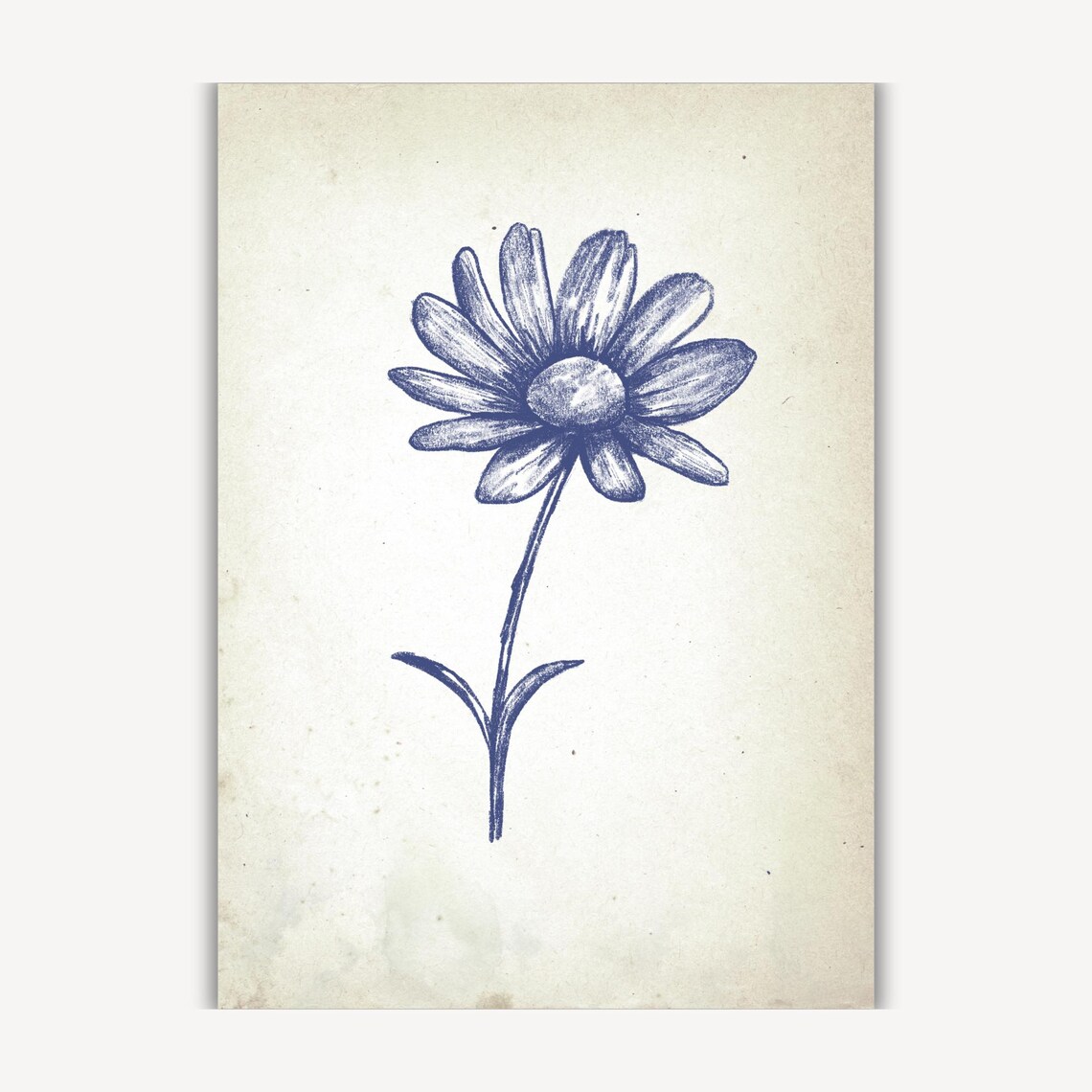 White Daisy Bloom in Vintage Blue Botanical Ink Sketch Poster - Image 3