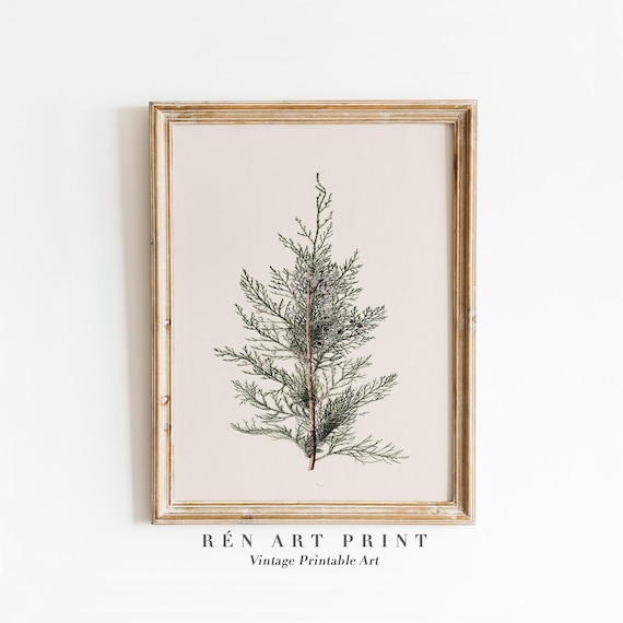 Juniper Branch Vintage Christmas Wall Decor