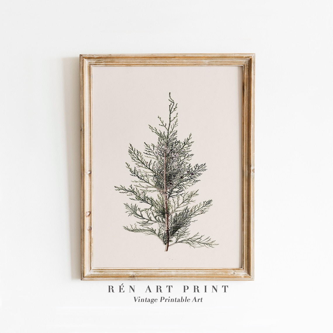 Juniper Branch Vintage Christmas Wall Decor