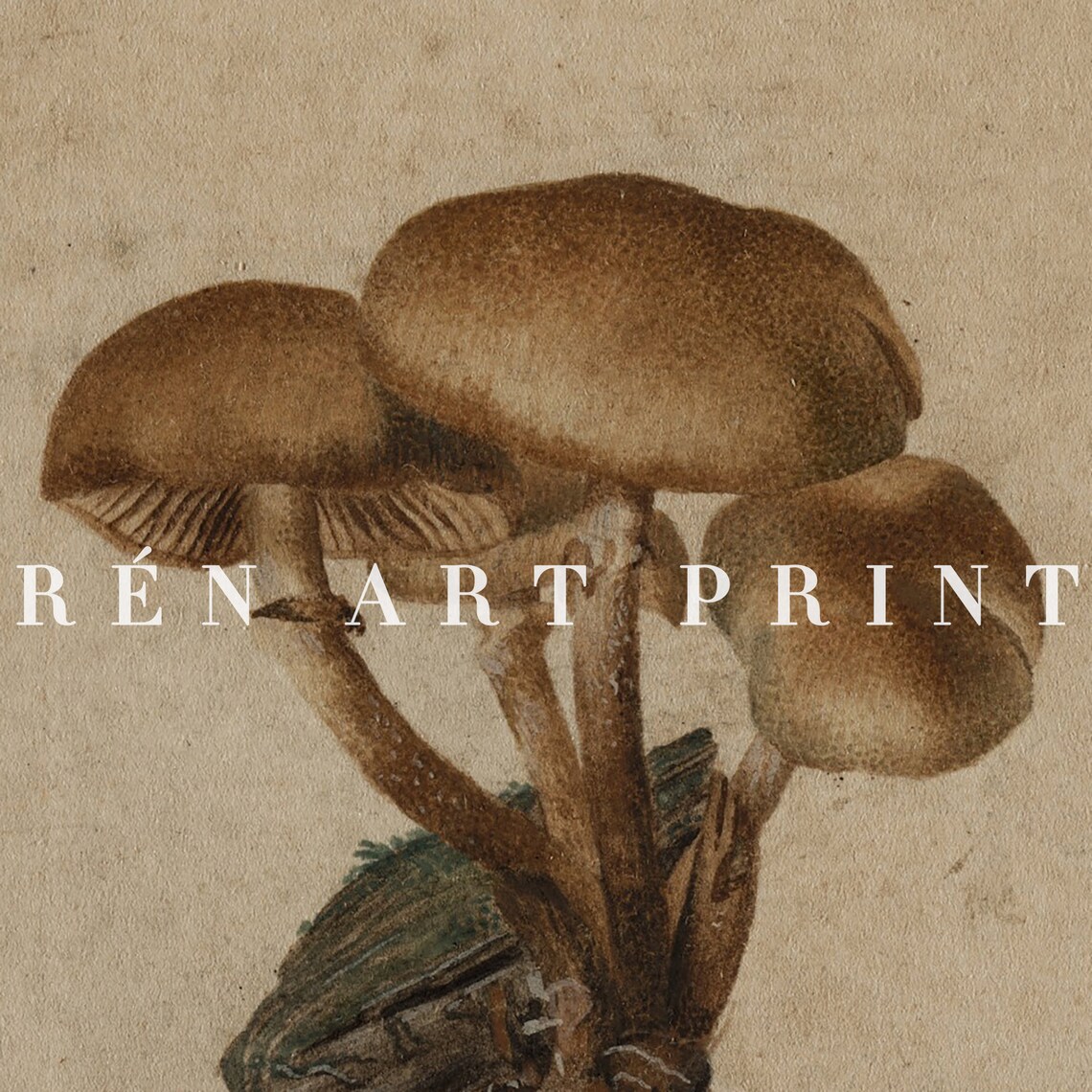 Vintage Mushroom Art Print, Farmhouse Kitchen Decor - Image 3