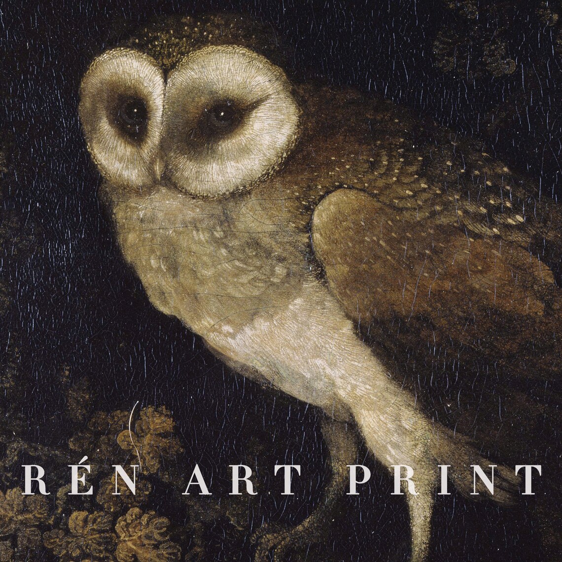 Antique Owl Painting, Dark Academia Wall Art - Image 3