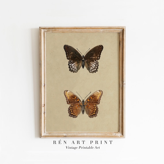 Vintage Butterfly and Moth Drawing, Farmhouse Art Print