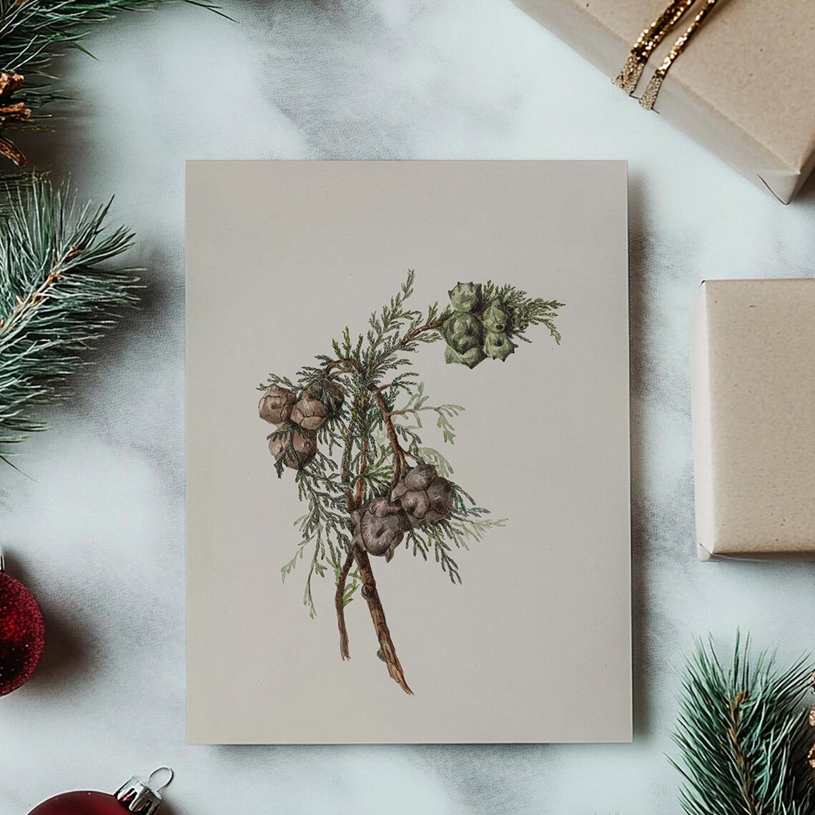 Winter Botanical Pine Branch Vintage Christmas Art Print - Image 2