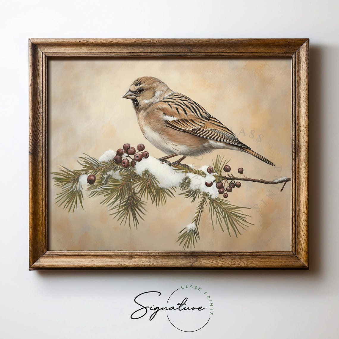 Linnet On Snowy Pine Branch With Juniper Berries Vintage Print - Image 5