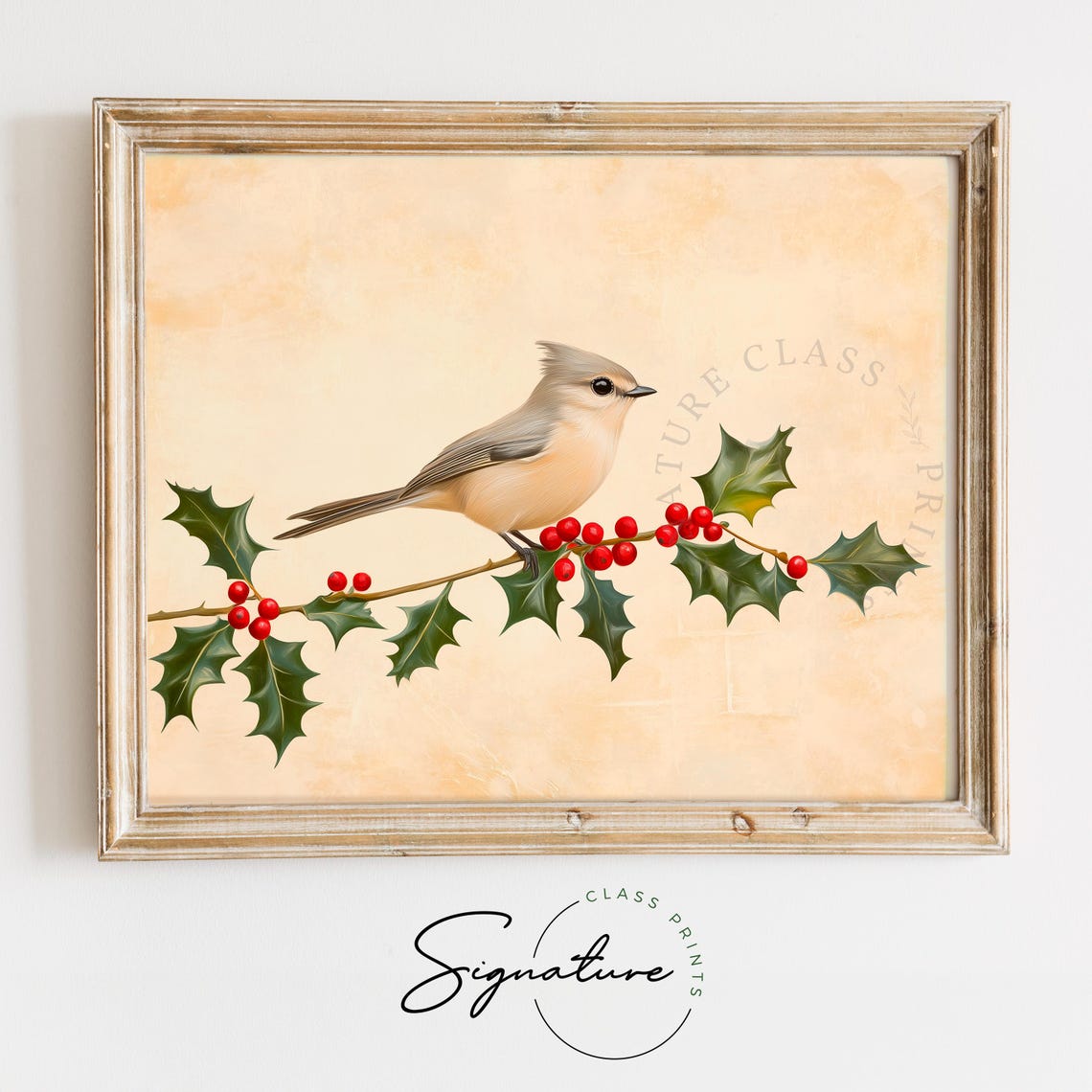 Tufted Titmouse on Holly Branch with Red Berries Bird Art Poster