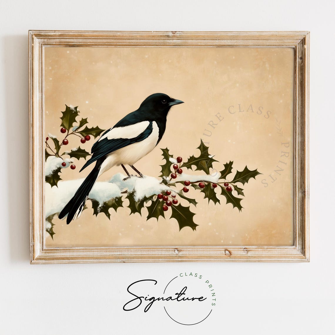 Magpie on Snowy Holly Branch Red Berries Vintage Bird Art Poster