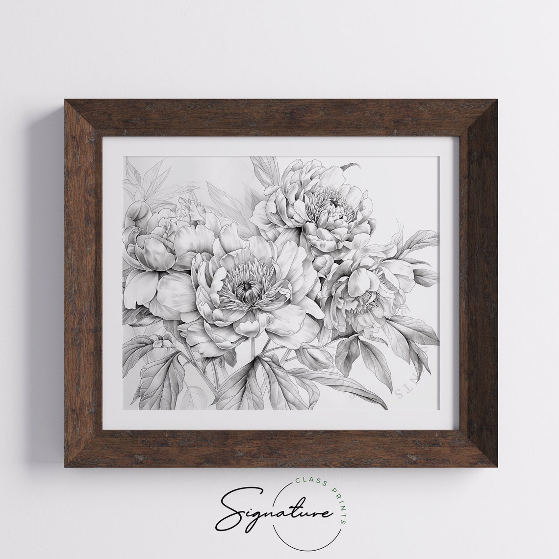 Peony Flowers Graphite Pencil Sketch Detailed Botanical Poster - Image 5