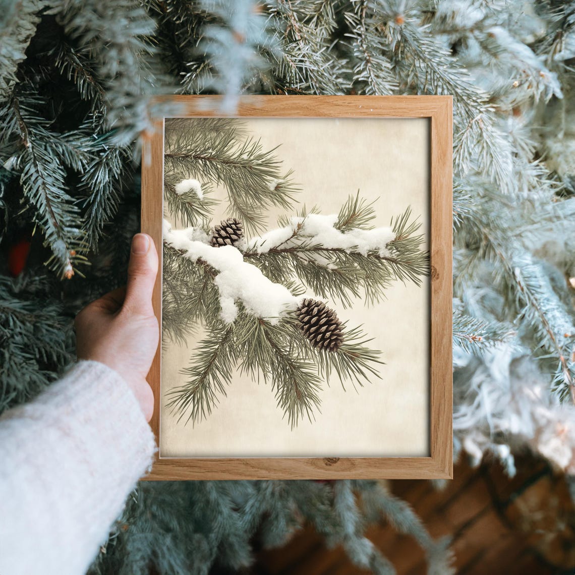 Snow Covered Pine Branch With Pinecones Winter Botanical Art Poster - Image 6