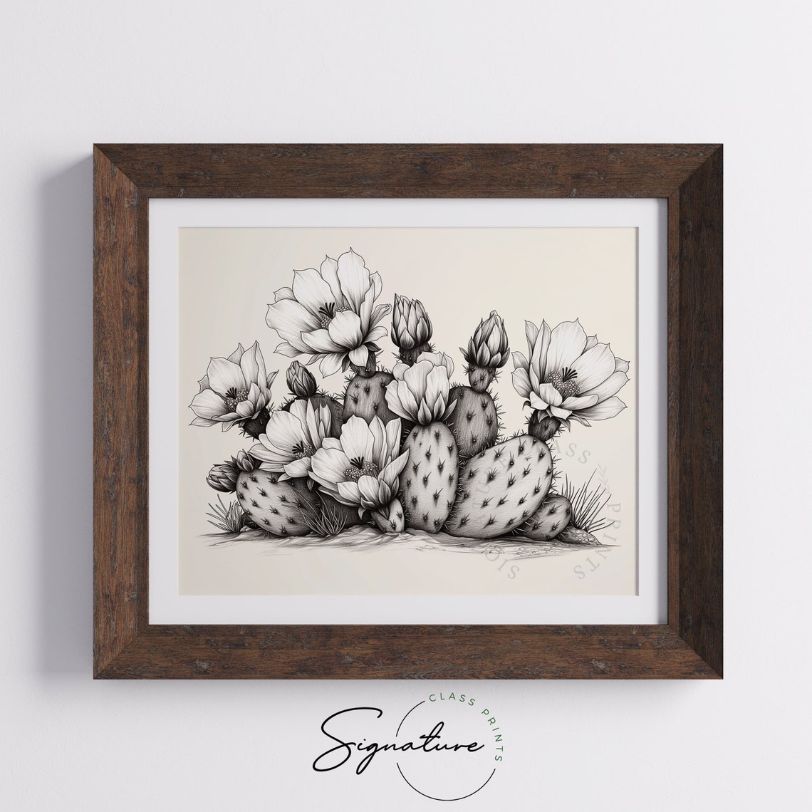 Prickly Pear Cactus In Bloom Desert Botanical Sketch Art Poster - Image 5