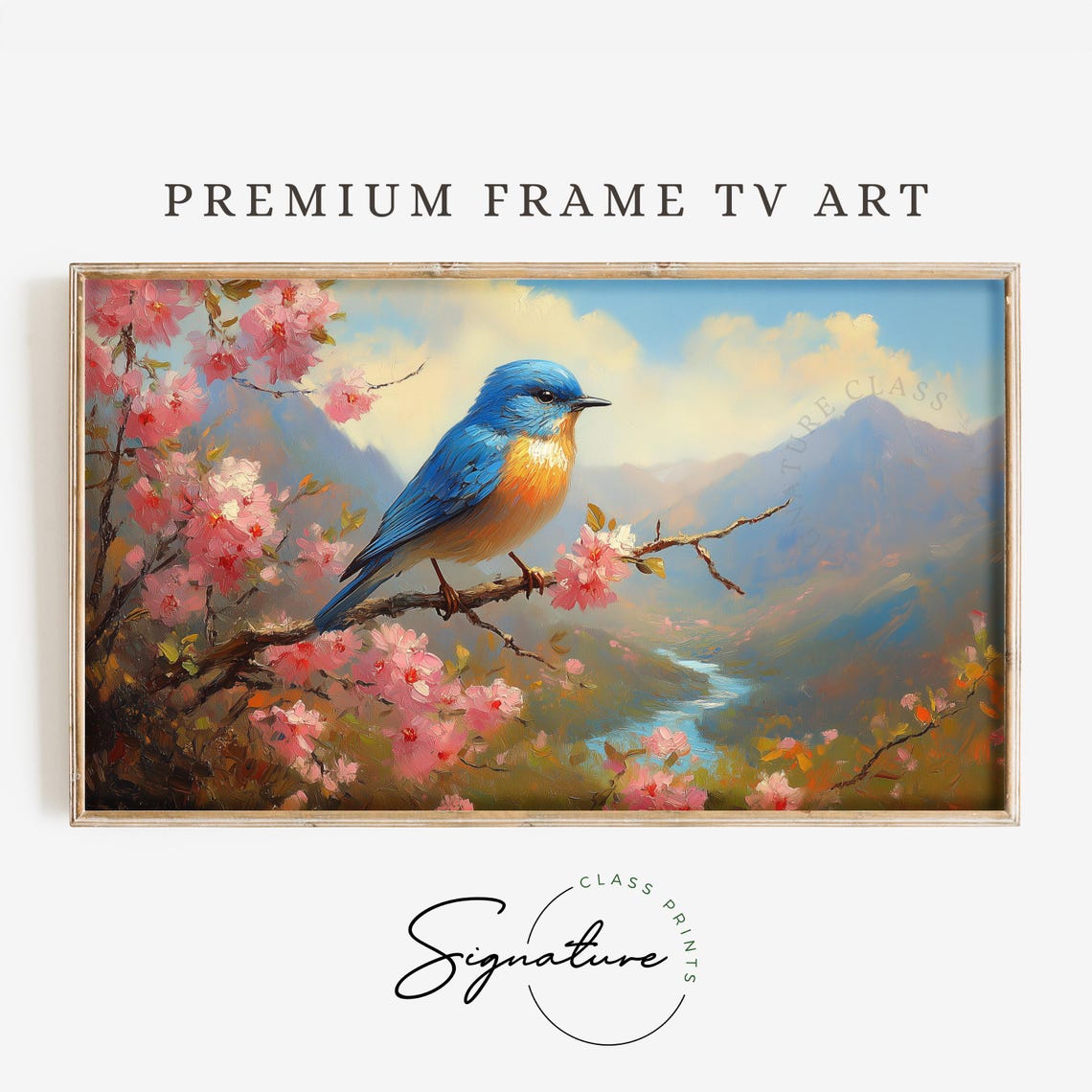 Bluebird On Cherry Blossom Branch Overlooking River Valley Poster