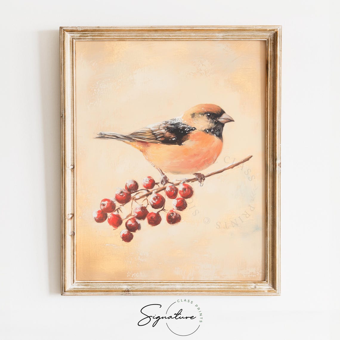Orange Breasted Songbird on Red Berries Vintage Winter Poster