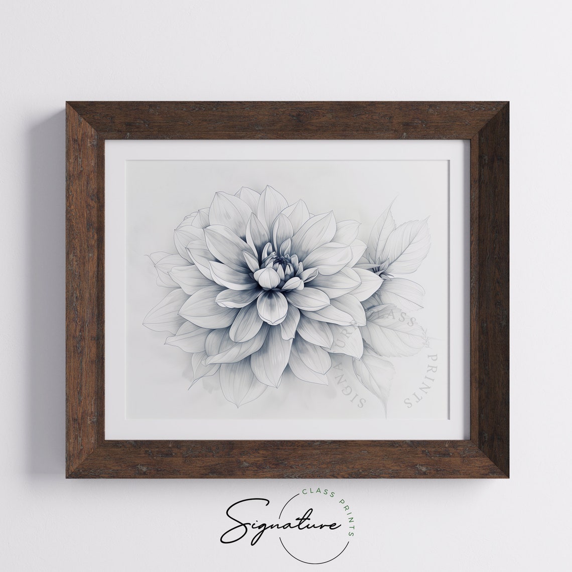 Dahlia Bloom Petal Soft Gray Blue Botanical Illustration Poster - Image 5