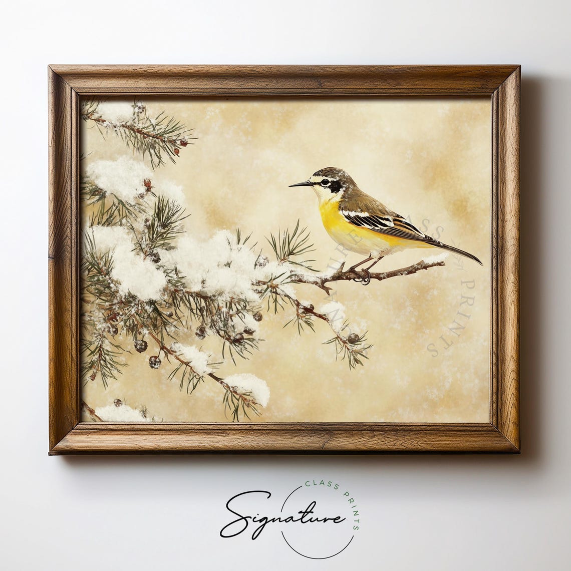 Yellow Wagtail on Snow Dusted Juniper Branch Winter Bird Poster - Image 5
