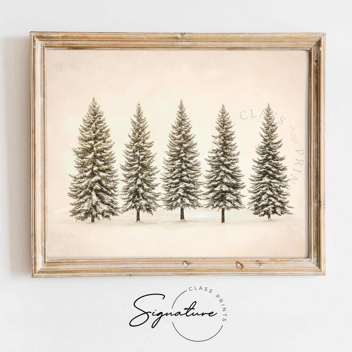 Five Snow Dusted Pine Trees In A Row Minimalist Winter Art Poster