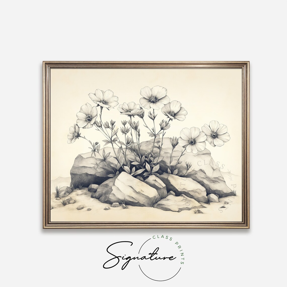 Wildflowers Among Rocks Grayscale Vintage Engraving Style Poster - Image 4