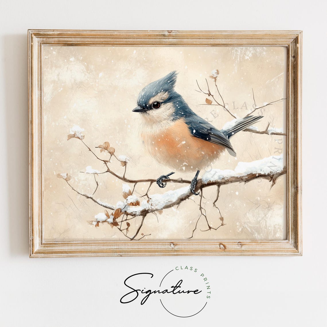 Tufted Titmouse Perched On Snowy Branch Cozy Winter Bird Wall Art
