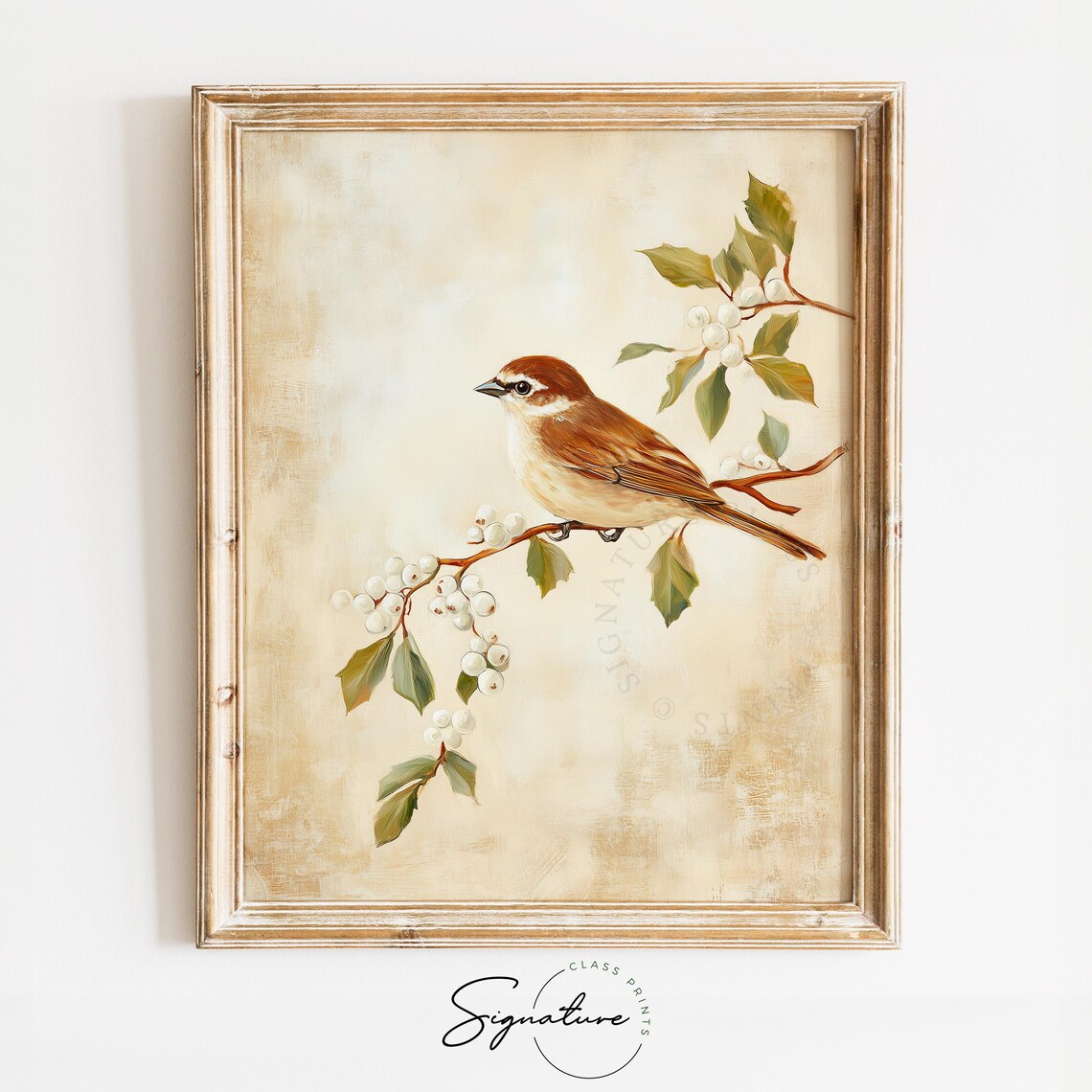 Sweet Brown Songbird on Winter Berry Branch Oil Painting Poster