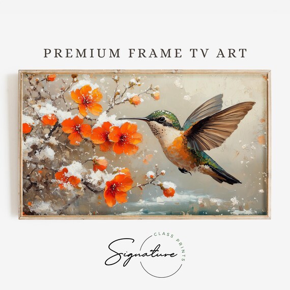 Hummingbird In Flight Near Orange Blossoms Dusted With Snow Poster