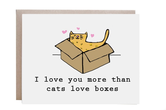 I Love You More Than Cats Love Boxes Orange Kitty Card Poster
