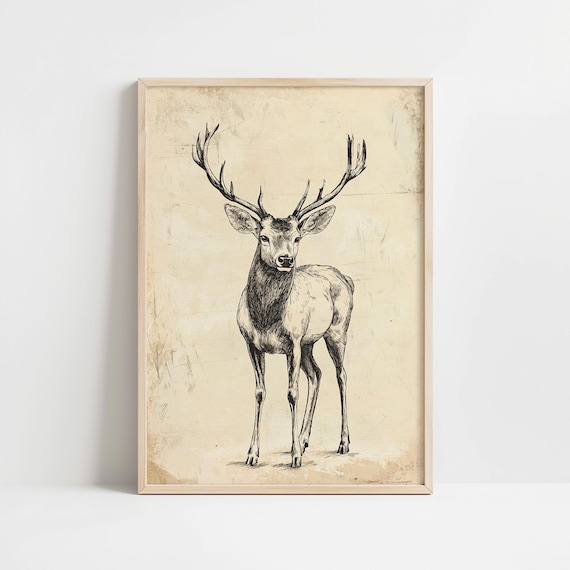 Standing Stag Full Body Vintage Sketch Aged Paper Art Poster