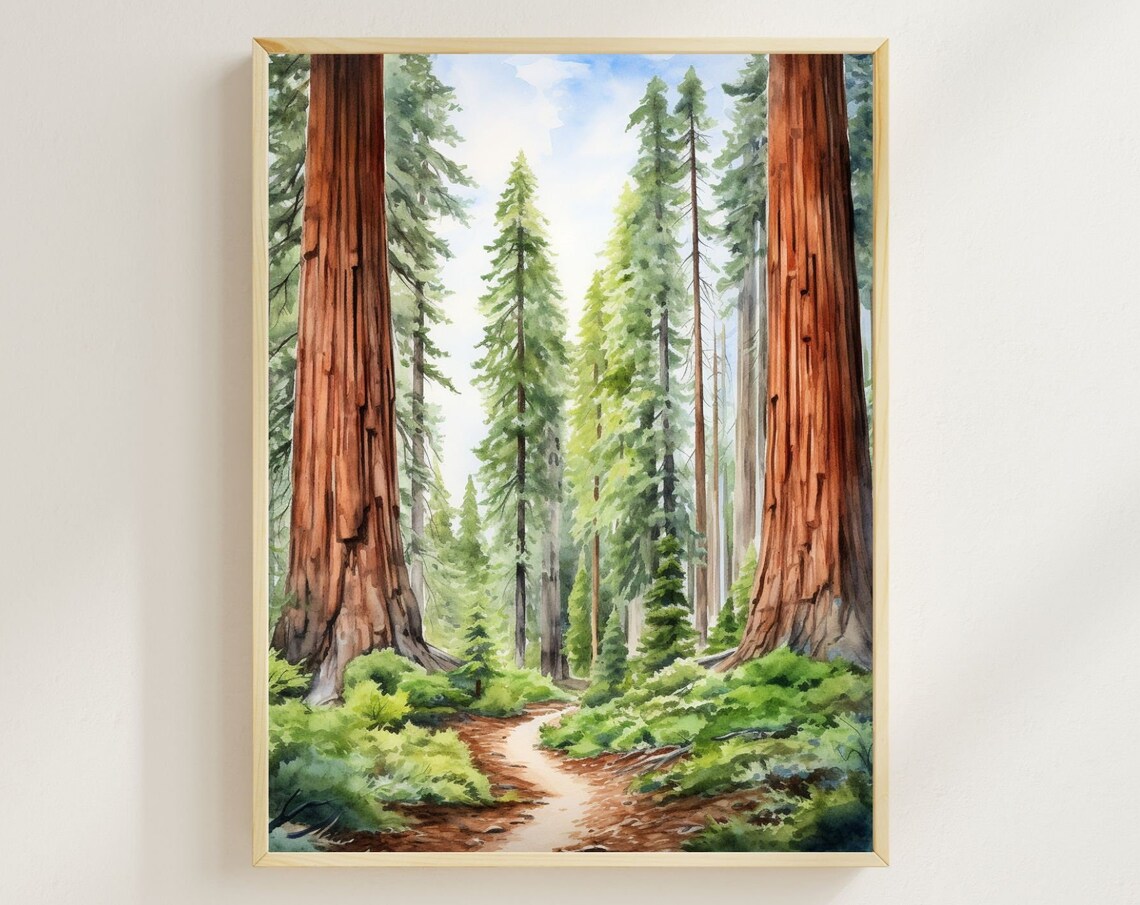 Sequoia National Park Watercolor Travel Poster