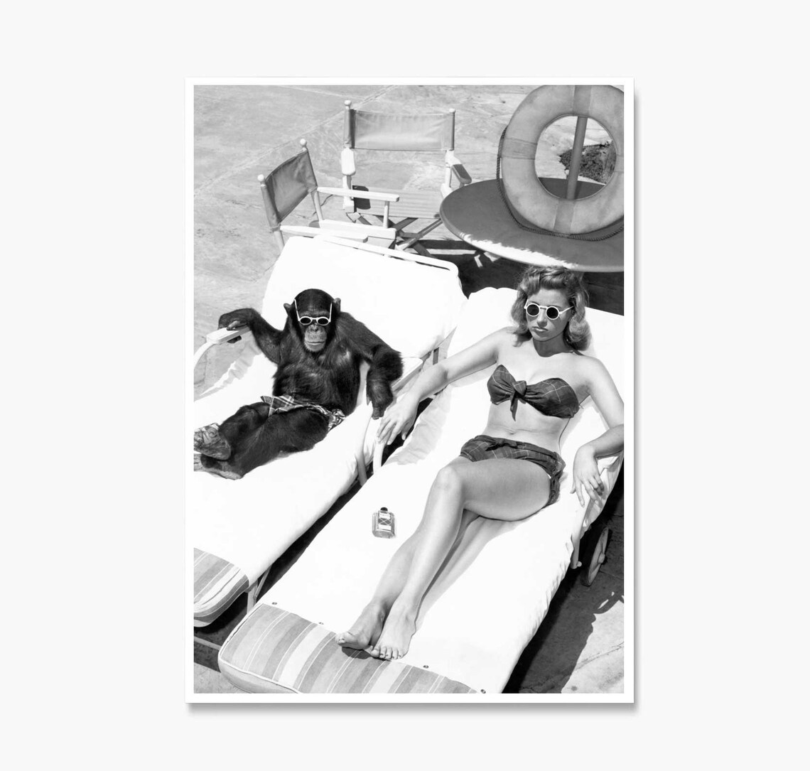 Chimpanzee and Woman Sunbathing Sunglasses Vintage Photo Poster - Image 2