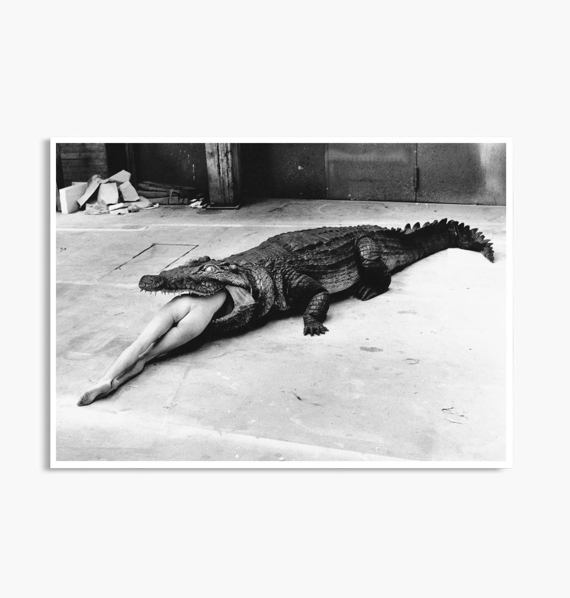 Croc Eating Lady Art Crocodile Eating Ballerina Wall Art Vintage Alligator Print Vintage Crocodile Poster Crocodile Posters Crocodiles - Image 3