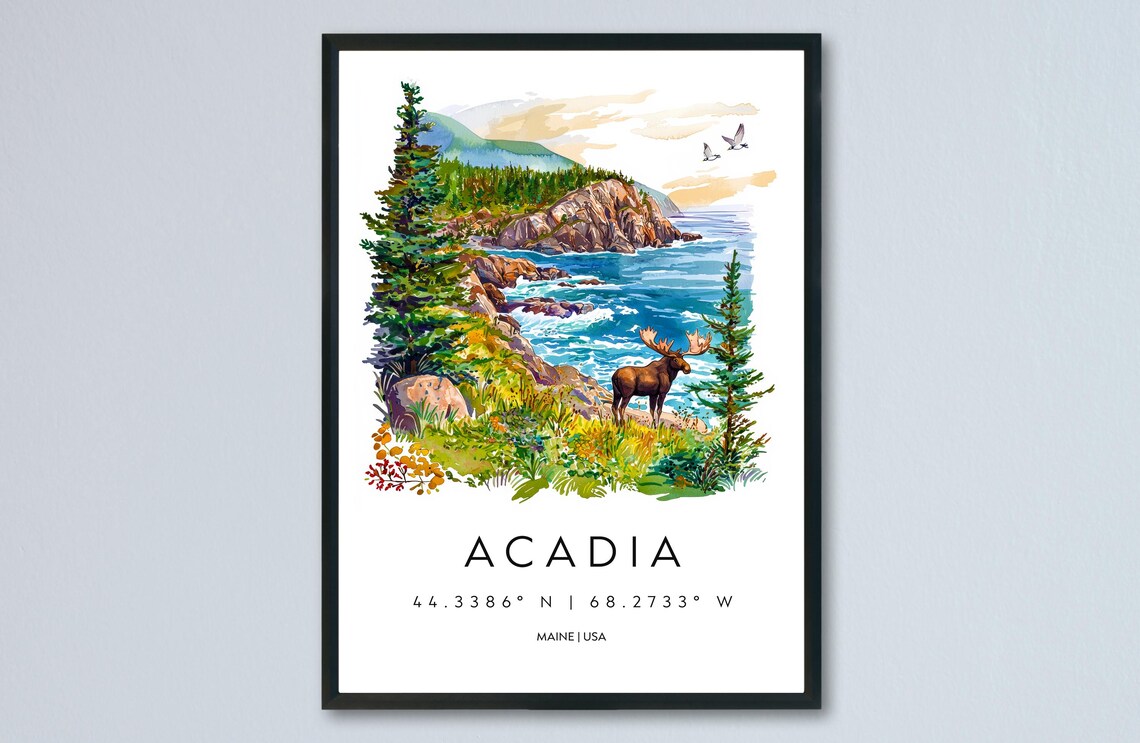 Acadia Maine National Park Moose Rocky Coast Watercolor Art Poster