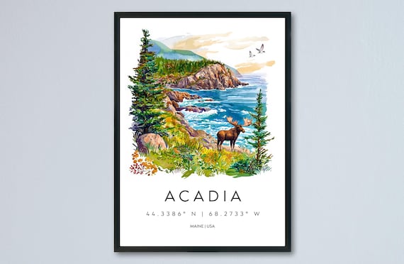 Acadia Maine National Park Moose Rocky Coast Watercolor Art Poster