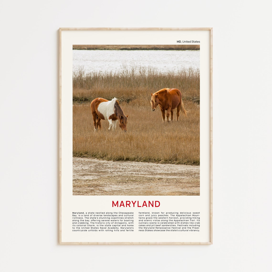 Maryland Print Film Photo Maryland Wall Art Maryland Poster Maryland Photo Maryland Poster Print Maryland Wall Decor Usa Poster Print