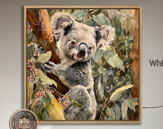 Koala In Eucalyptus Tree Watercolor Portrait Australian Wildlife Art Poster