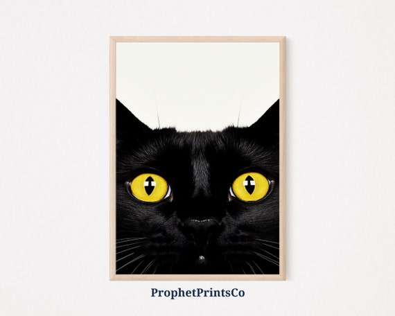 Funny Black Cat Print Cat Poster Funny Cat Art Cat Illustration Fine Art Unique Cats Print Wall Art