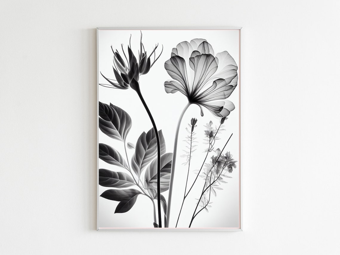 X Ray Style Black and White Flower Botanical Minimalist Poster