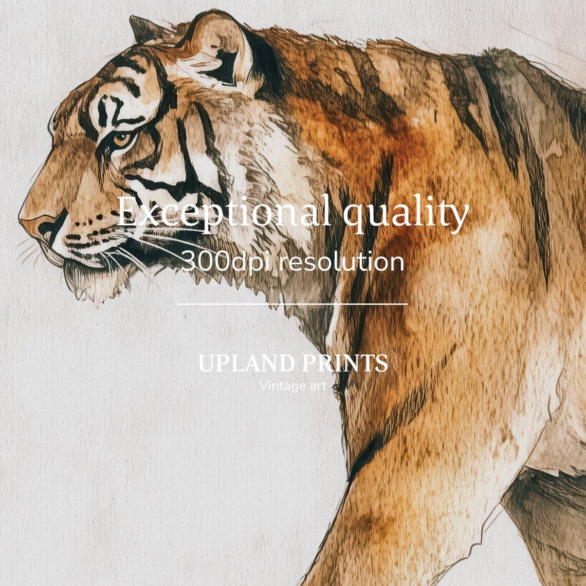 Tiger Walking in Profile Soft Watercolor Big Cat Wildlife Portrait Art Print - Image 2