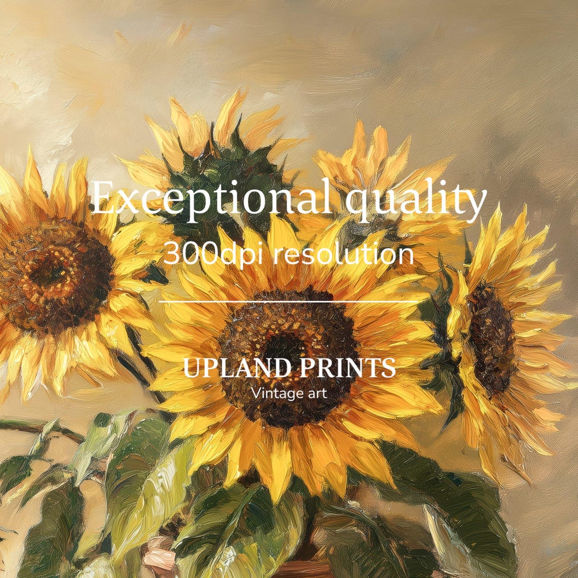 Vintage Sunflower Print Painting Sunflower Art Yellow Flowers Wall Art Floral Print Summer Flower Print Yellow Flower Print 166 - Image 2