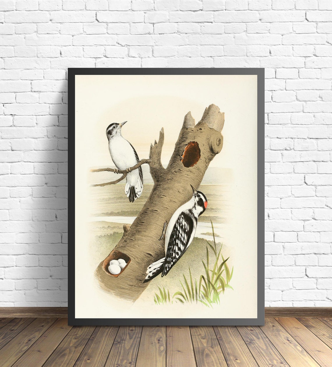 Downy Woodpecker Pair at the Tree Cavity Vintage Bird Art Poster - Image 2