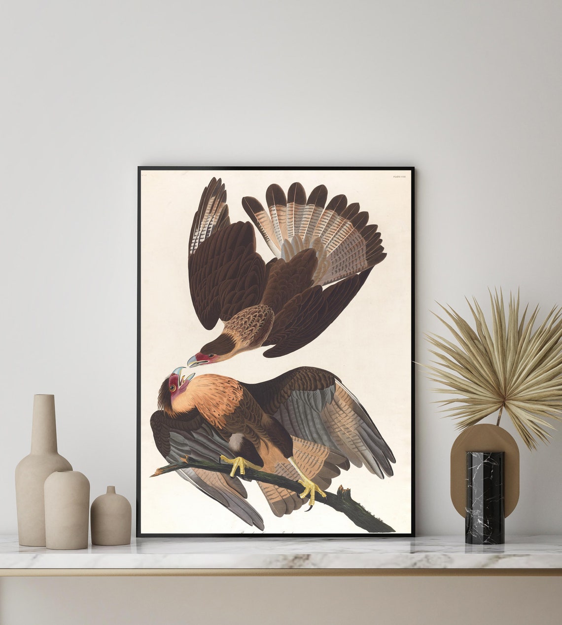 Brazilian Caracara Eagles by John James Audubon Vintage Bird Poster - Image 3