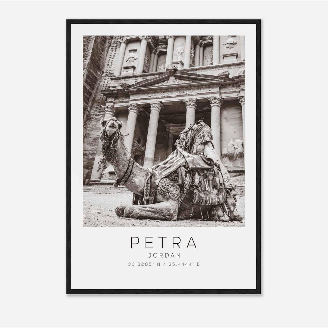 Petra Jordan Ancient Treasury Camel Black White Photo Poster