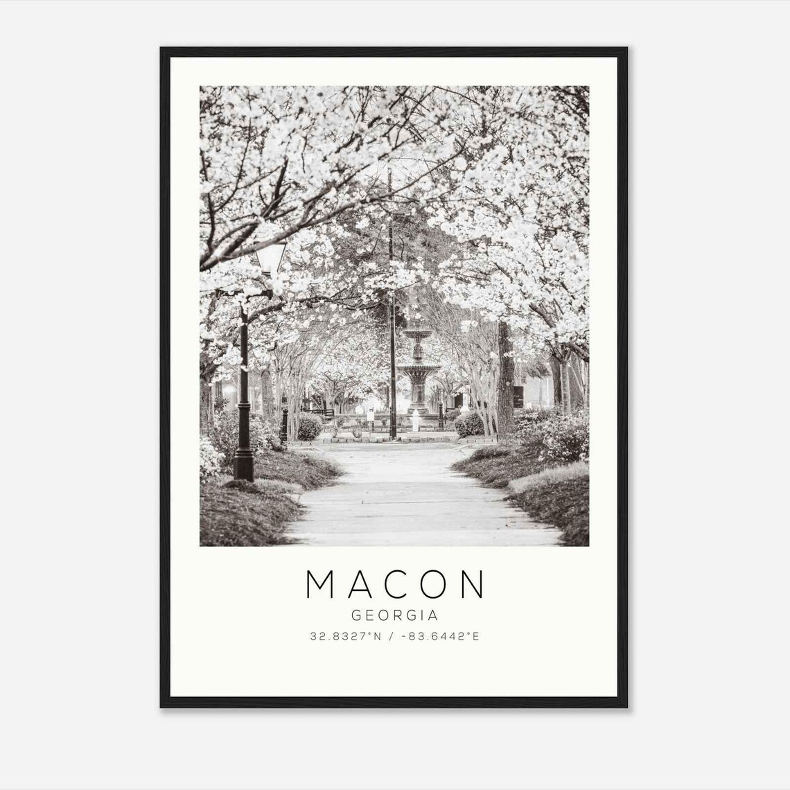 Macon Georgia Cherry Blossom Park Fountain Black And White Poster