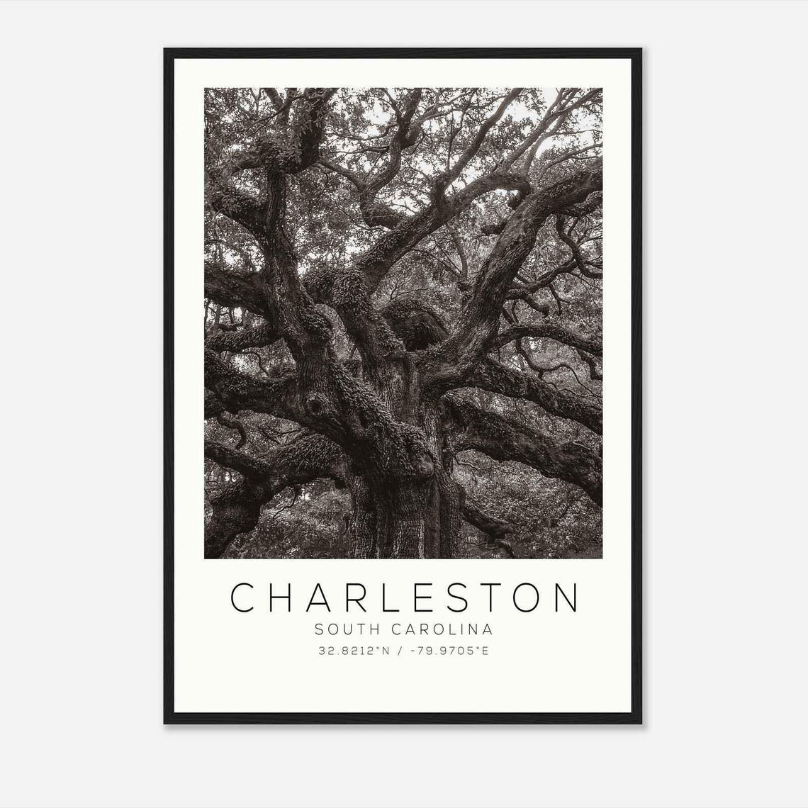 Charleston South Carolina Ds1 Photo Travel Poster Charleston South Carolina Travel Print Minimalist Travel Print