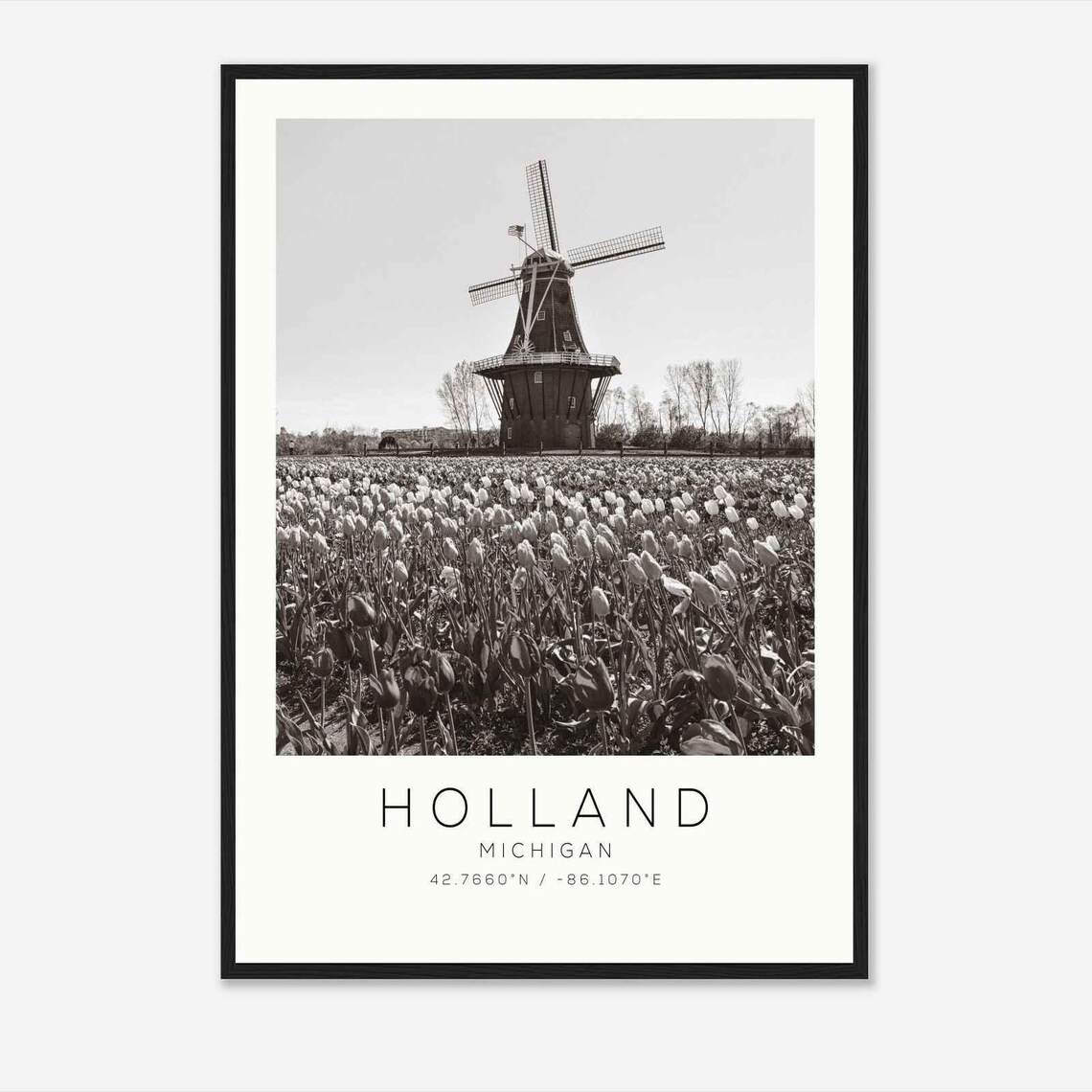 Holland Michigan Tulip Fields Dutch Windmill Black White Travel Poster