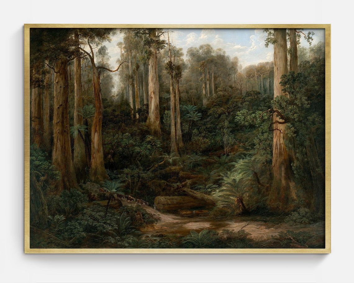 Tall Eucalyptus Forest Ferns Creek Rainforest Landscape Art Poster