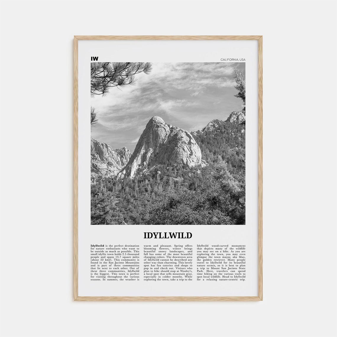 Idyllwild Black And White No. 2 Travel Poster